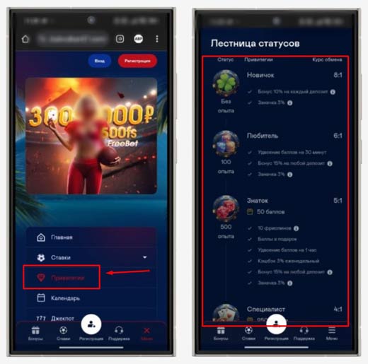 Программа лояльности в Vulkan Club